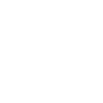 Nandro Rapid, NPP (Nandrolone Phenylpropionate)